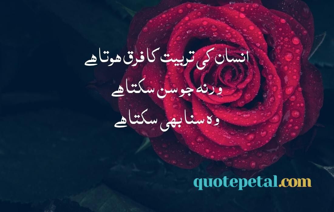 Attitude quotes in Urdu