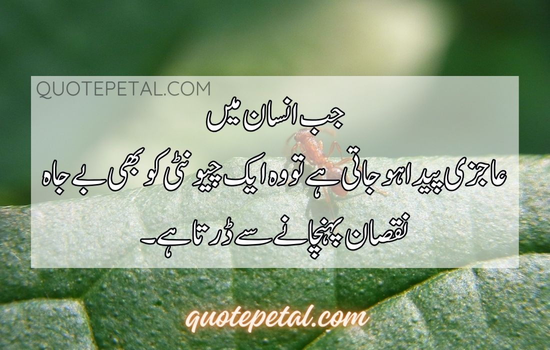 Urdu Quotes About Life and Love