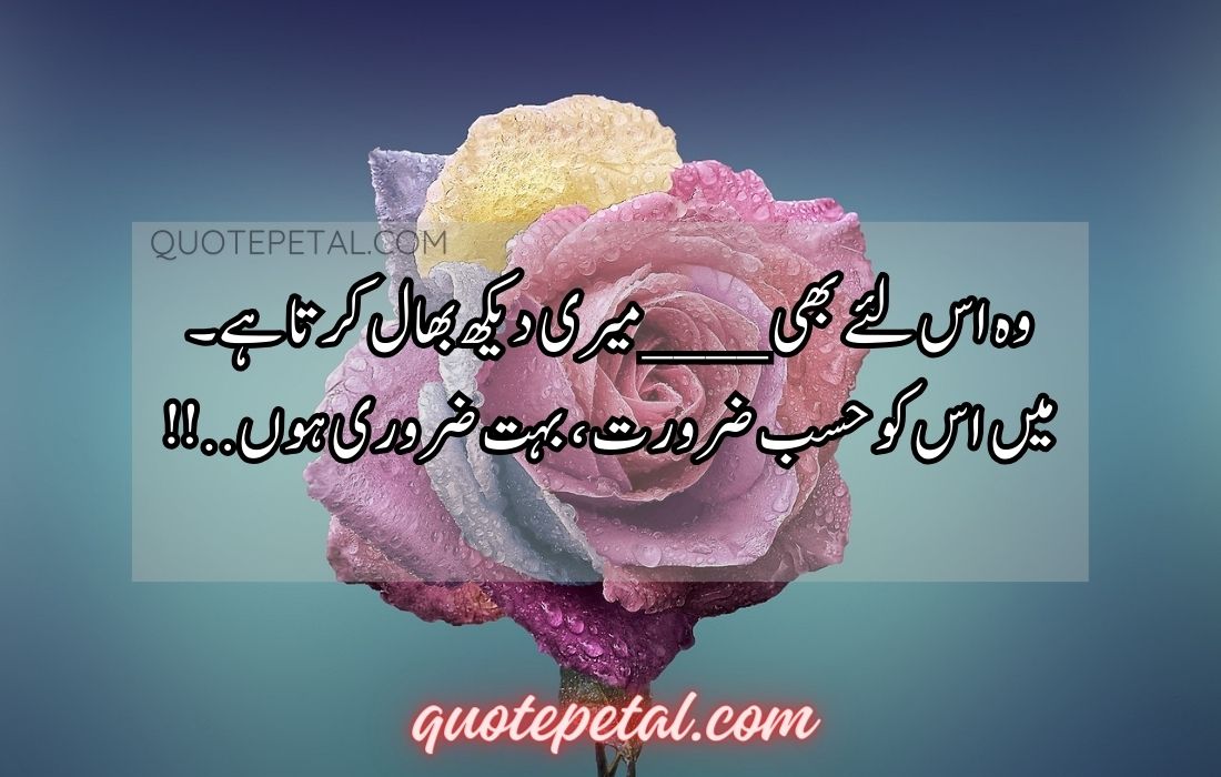 35 Love quotes in Urdu